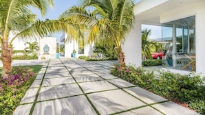 A modern building with a paved pathway, palm trees, and a glass entrance.