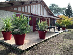 تناول الطعام بالخارج