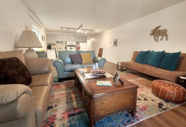 Smart TV, fireplace, books