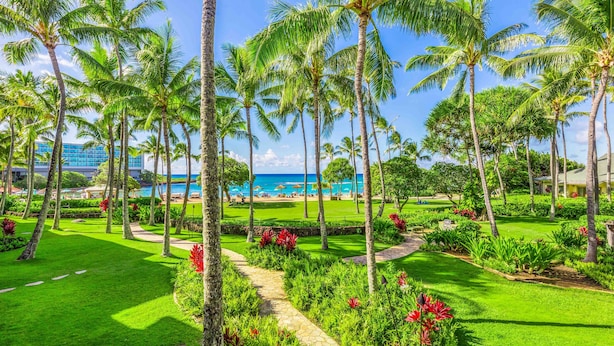 Un resort tropical con palmeras, un camino y vista al océano.