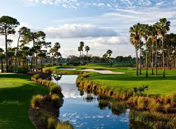 Un campo de golf con un estanque, palmeras y cielo despejado.