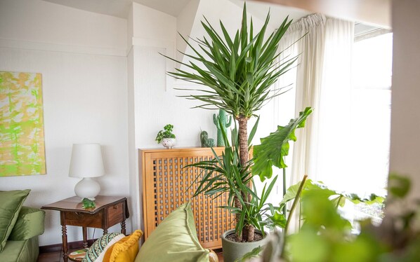 Nicht klassifiziertes Bild, 1 von 26, Schaltfläche