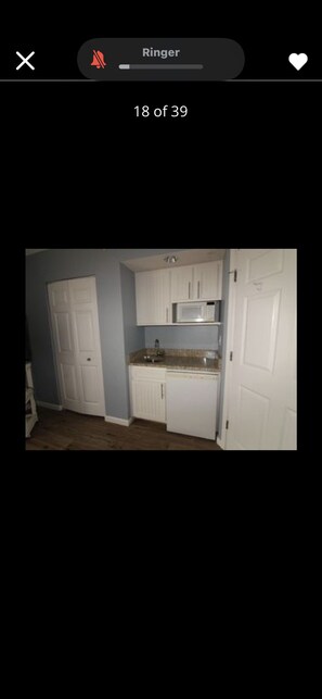 Grand réfrigérateur, micro-ondes, lave-vaisselle, blender