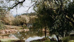 Un paisatge tranquil de llac amb una casa al fons, envoltat de vegetació abundant i arbres.