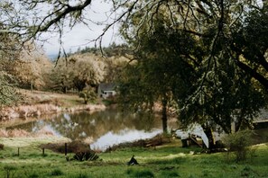 Property grounds - Forest Cottage (Cloverdale)