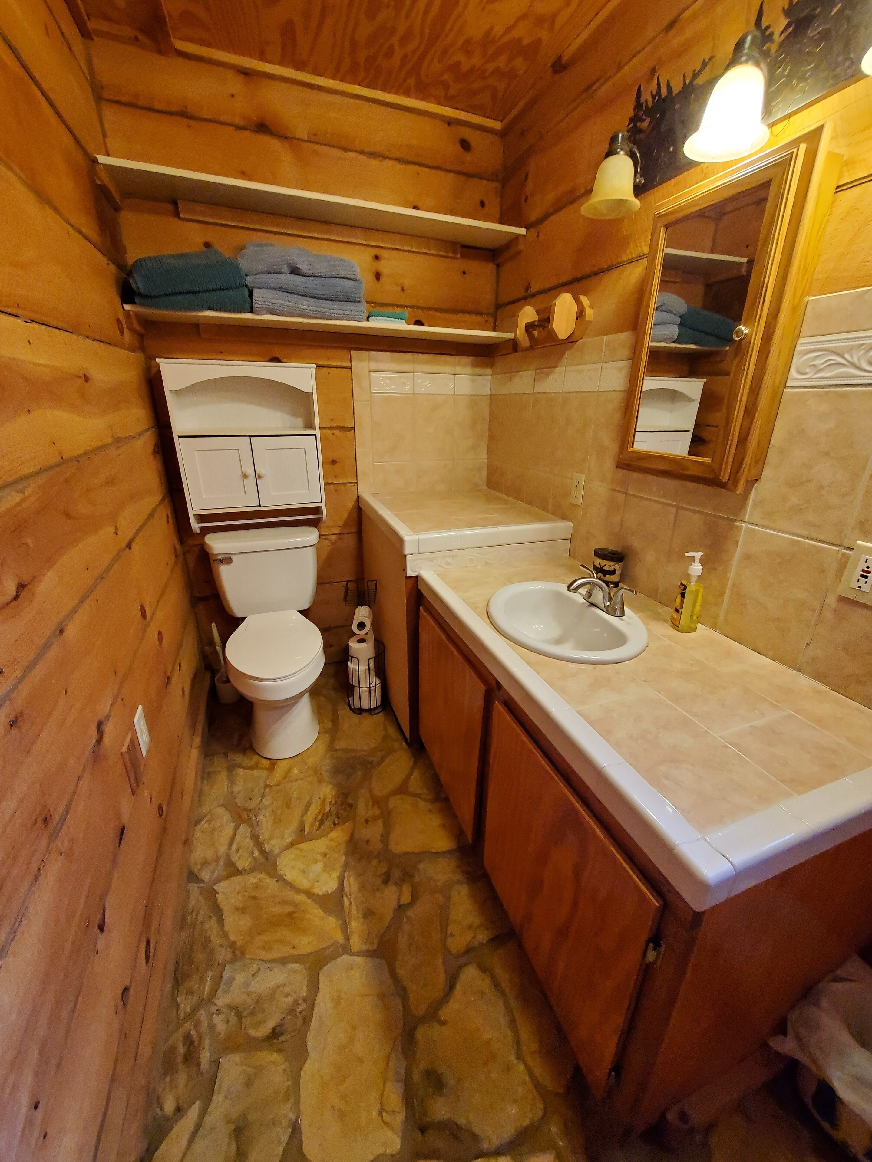 Ein Badezimmer einer Holzhütte mit Toilette, Waschbecken und Spiegel.