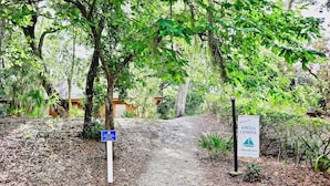 A pathway leading to Amelia Landings, surrounded by lush greenery and trees.