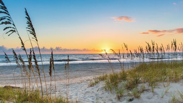 A beach with sand and tall grasses, a sunset in the background, and the ocean.