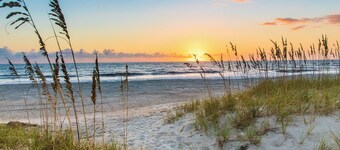 King Bed! Cozy Amelia Island Gem just steps to the beach. 