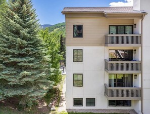 A multi-story building with balconies and a large evergreen tree in the foreground.