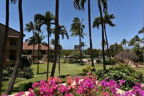 Property grounds - KRL Q101: PARADISE AT AMAZING RATES!!!! (Lahaina)