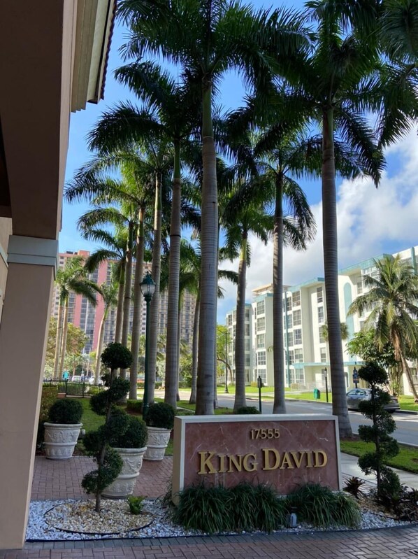 A sign for 'King David' with a number '17555' and a view of tall palm trees and modern buildings in the background.
