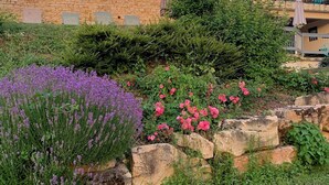 A stone building with a tiled roof, surrounded by lush greenery and flowering plants. - Gîte 12 per (Vers)