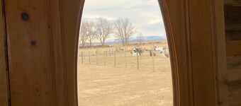 Llamaste at our Llama Dude Ranch