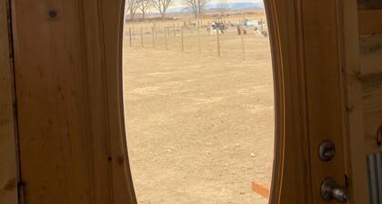 Llamaste at our Llama Dude Ranch