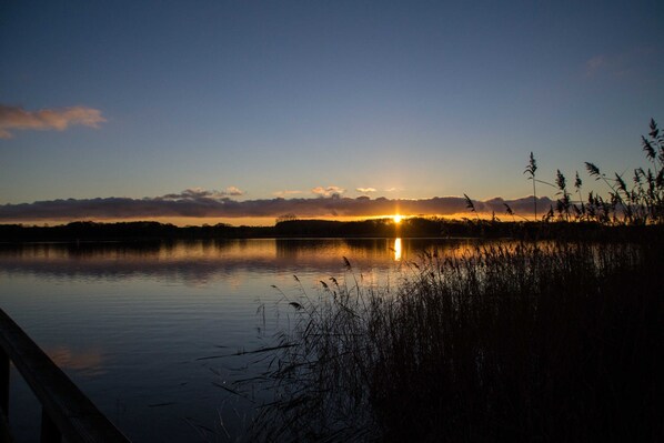 Immagine non classificata, 1 di 25, pulsante