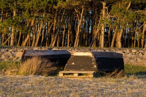 Immagine non classificata, 4 di 25, pulsante