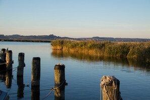 Immagine non classificata, 3 di 25, pulsante