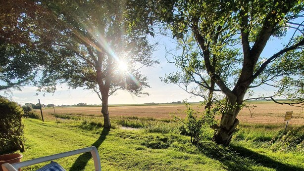 A wooden bench with a checkered cushion in a grassy field with trees and a clear sky. - Kapitänshuus, Deutschland (Nordstrand)