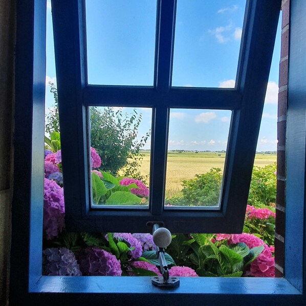 A window with a view of a field and flowers.