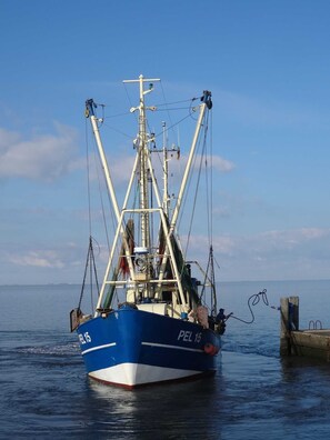 Immagine non classificata, 3 di 30, pulsante