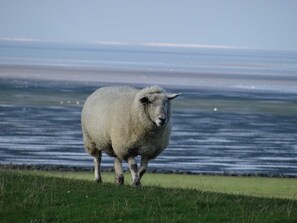 Image sans description, 2 de 29, bouton