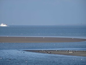 Unclassified image, 2 of 29, button - Kimi's Kate, Deutschland (Nordstrand)