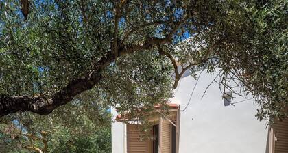 Casa Cicala in Pombia