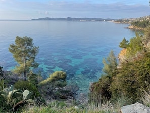 Eine Küstenlandschaft mit klarem, blauem Meer, Bäumen und felsigem Gelände.