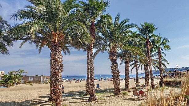Strand