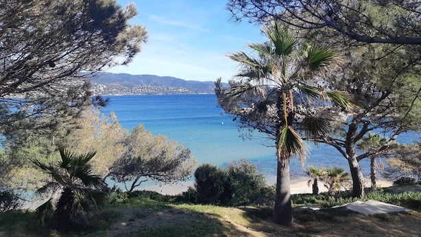 Paisagem costeira com árvores e vista para o mar.