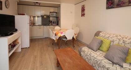 House in Mont-Dore with enclosed garden, ideal for 10 people