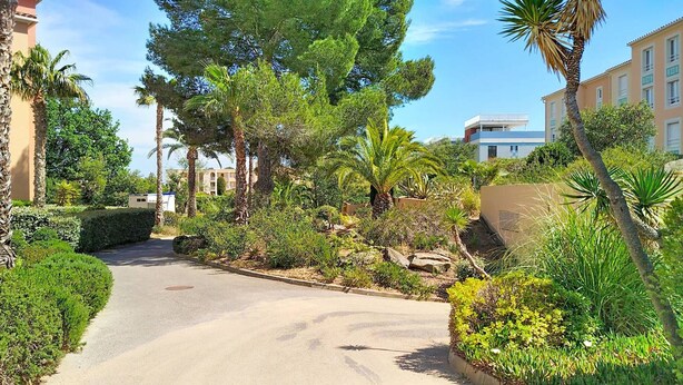 A road leading to a building with a landscaped garden, palm trees, and a clear sky.