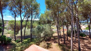 A natural landscape with tall trees and a clear blue sky. - Villa Catabella with unlimited WiFi internet next to the beaches and the village (L'Escala)