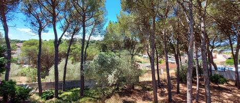 المنطقة المحيطة بالمنشأة