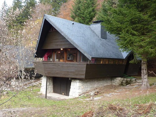 Chalet Mont-Dore 9 Pers, Kamin, Terrasse, WiFi