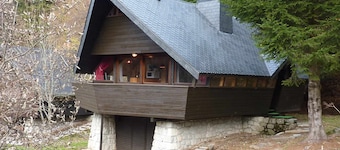 Mont-Dore Chalet 9 pers, fireplace, terrace, WiFi