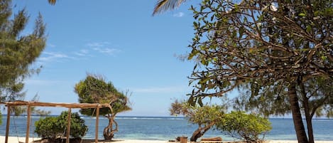 Plage à proximité, chaises longues, serviettes de plage