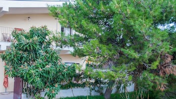 Casa | Áreas de la propiedad