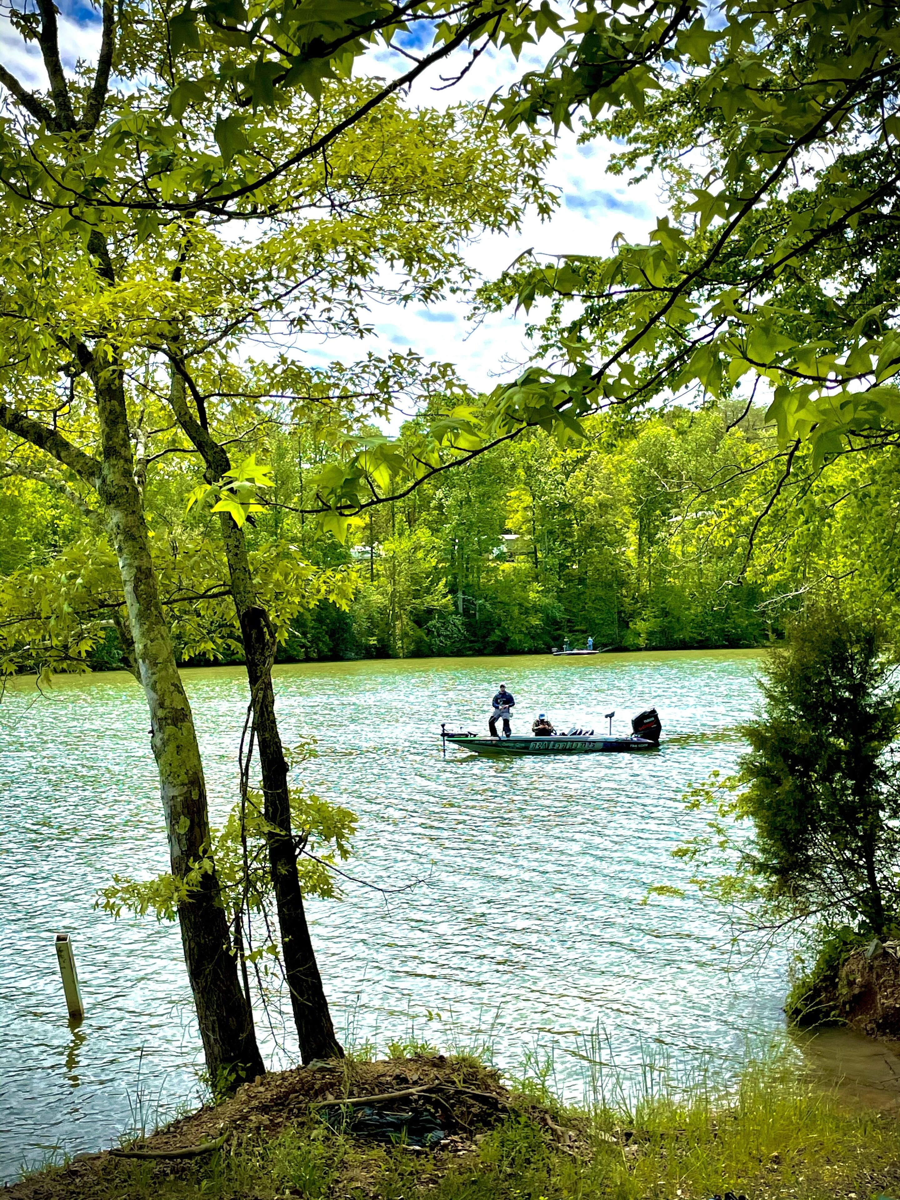 Ein ruhiger See, umgeben von üppigem Grün.
