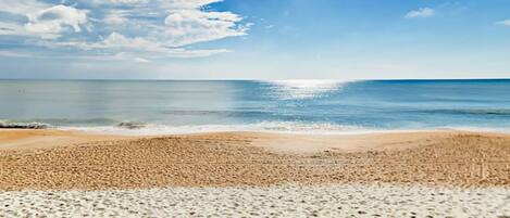 ビーチの近く、サンラウンジャー、ビーチタオル