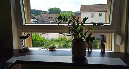 Apartment Charlotte