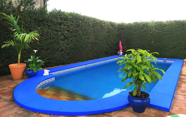 A small, blue, kidney-shaped pool with a tiled edge, surrounded by potted plants and a hedge.