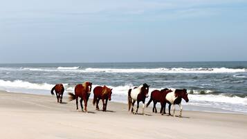 Una playa cerca