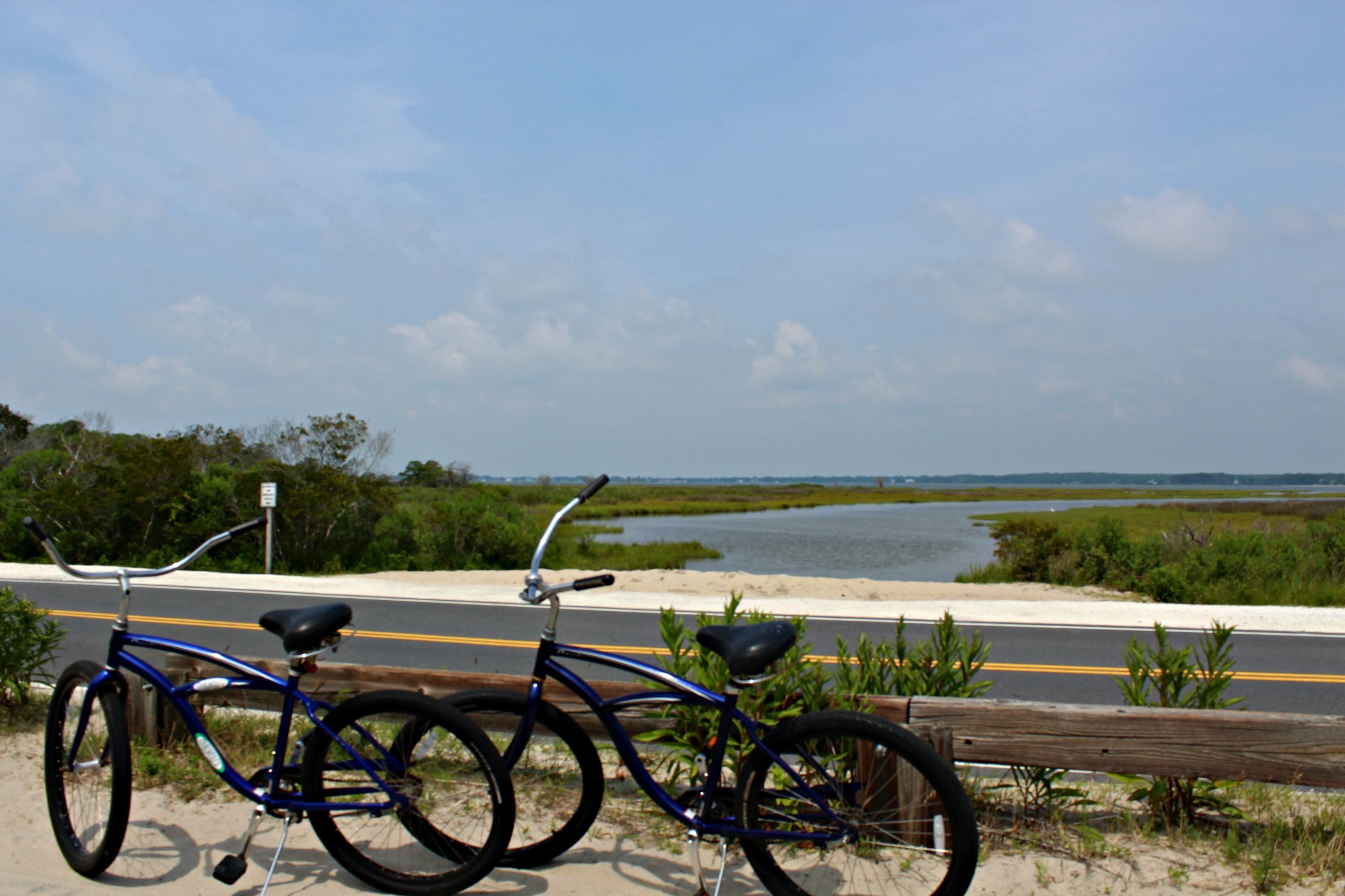 A blue bicycle parked by a roadside with a view of a water body and greenery in the background.