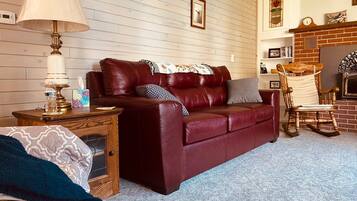 Smart TV, DVD player, books, video library