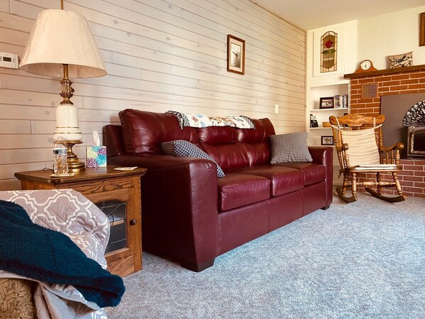 TV, DVD player, books, video library