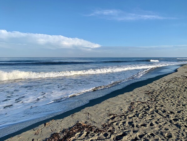 Una spiaggia nelle vicinanze