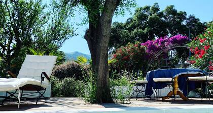 Villa Flamingo close to the beach