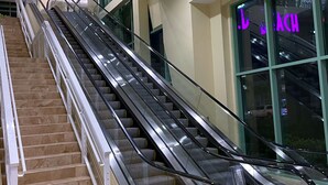 Una escalera mecánica interior junto a una escalera con barandilla de vidrio.
